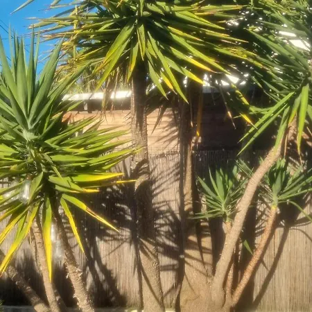 Dom wakacyjny Maison De Bord De ,hyeres, 3 Chambres, Jardin, Calme *