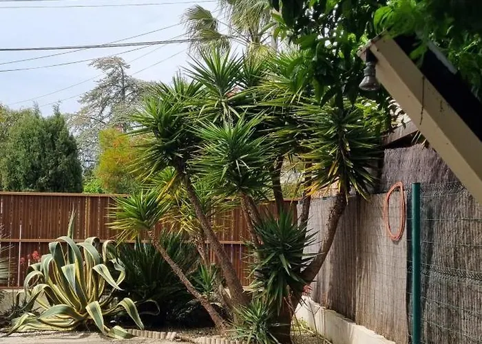 Maison De Bord De ,hyères, 3 Chambres, Jardin, Calme * Hyères
