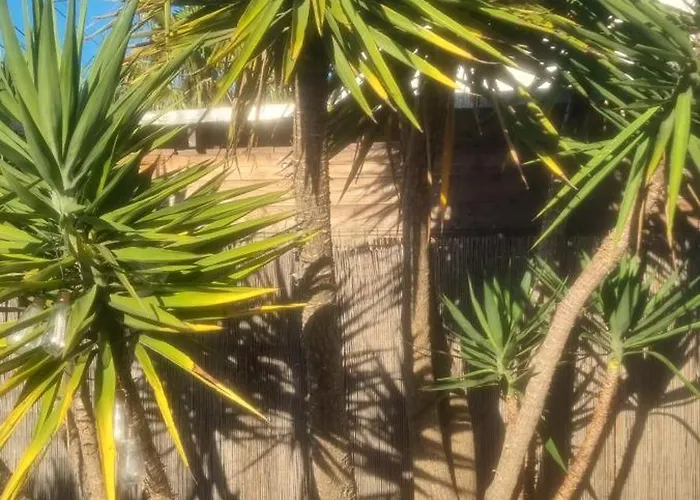 Casa vacanze Maison De Bord De ,hyères, 3 Chambres, Jardin, Calme *